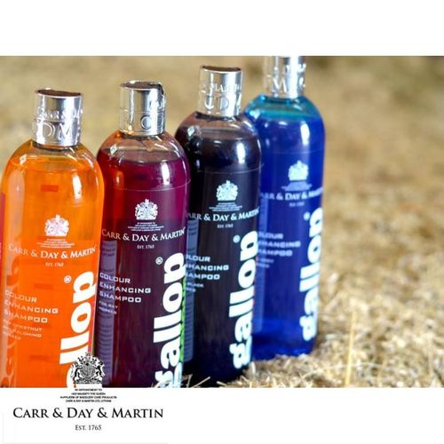 Carr & Day & Martin Gallop Colour shampoo